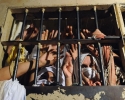 Imagem de Rebelião no presídio