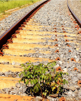 Imagem de Leilão da Ferrovia Norte-Sul ocorre no final de março