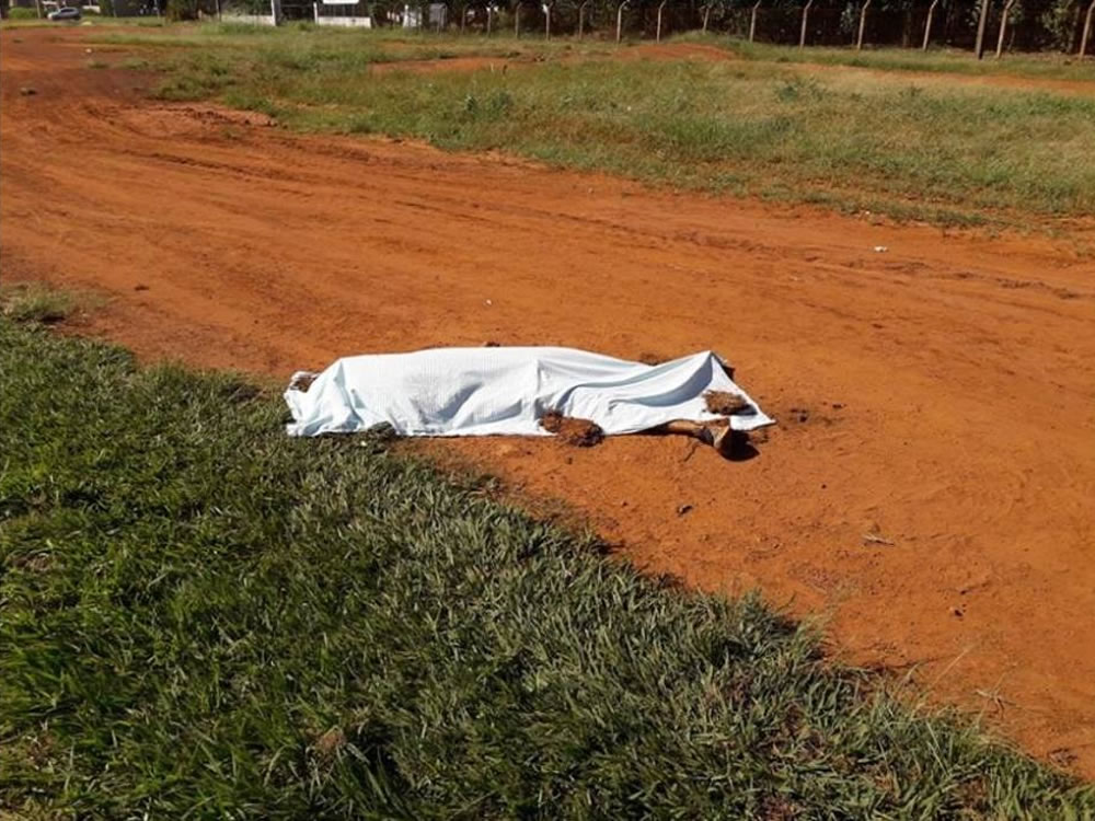 Imagem de Rio-verdense é encontrado morto em Chapadão do Céu