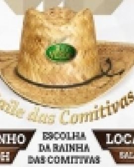 Imagem de Baile das Comitivas 2015 acontece amanhã