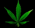 Imagem de Maconha: descriminalizar ou não?