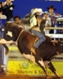 Imagem de Pecuária 2012: Rodrigo Almeida é campeão do Rodeio