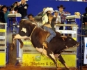 Imagem de Pecuária 2012: Rodrigo Almeida é campeão do Rodeio