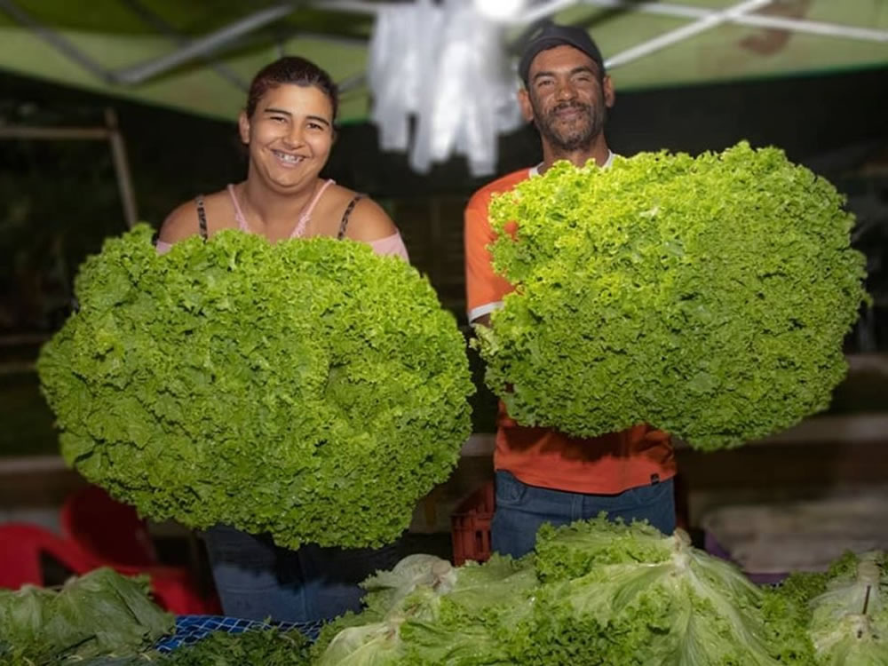 Imagem de Prefeitura inaugura feira da Vila Borges