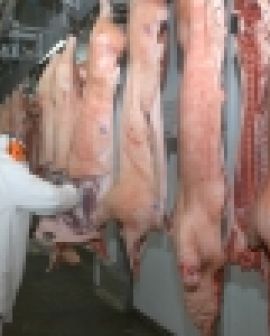 Imagem de Carne rio-verdense na China