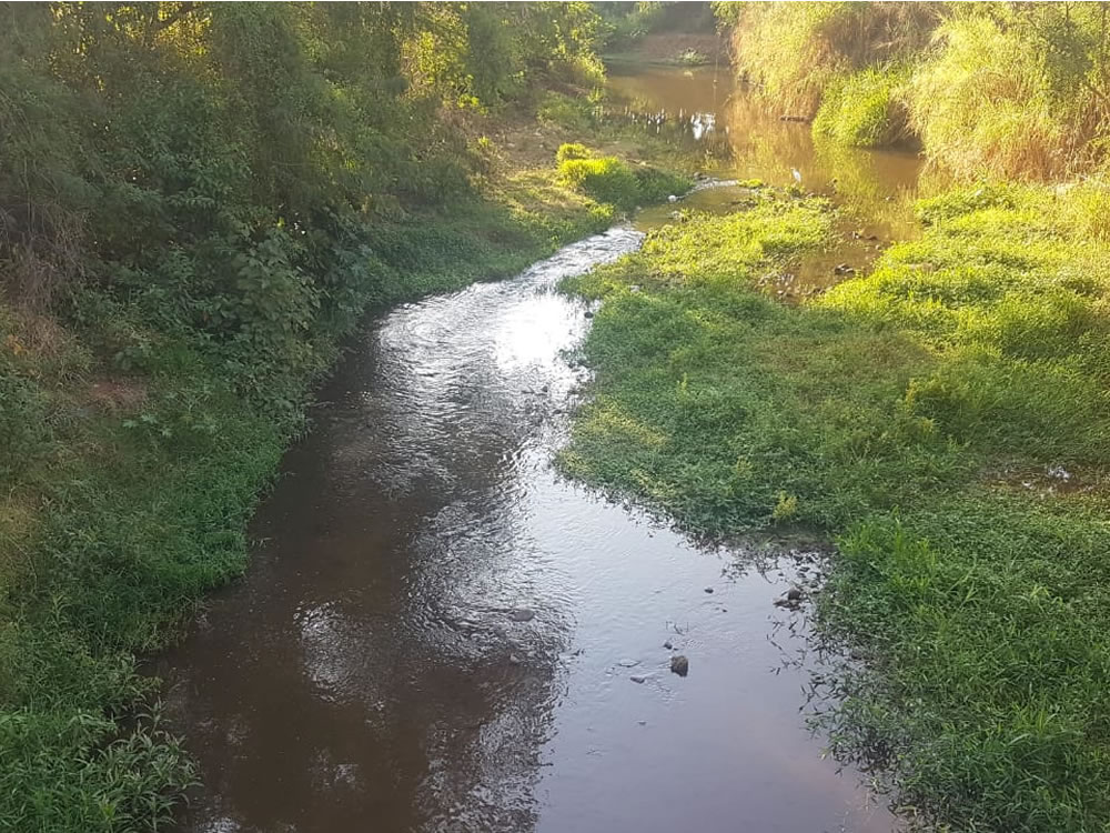 Imagem de Jovem é encontrado morto em Rio Verde