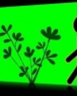 Imagem de Por uma pedagogia ambiental