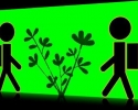 Imagem de Por uma pedagogia ambiental
