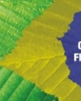 Imagem de Produtor rural e a recomposição florestal: custo ou oportunidade?