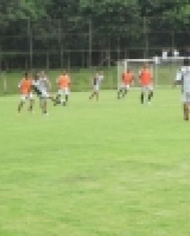 Imagem de Verdão fará primeiro amistoso