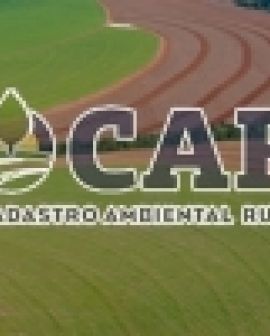 Imagem de Comigo incentiva adesão ao CAR
