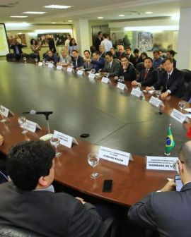 Imagem de Reunião intensifica parceria entre Goiás e China