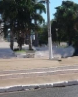 Imagem de Praça Cinco de Agosto recebe cuidados