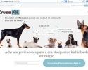 Imagem de Engenheiro de SP cria site de 'relacionamento' para animais