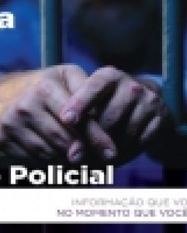 Imagem de Vândalo detido na Promissão