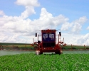 Imagem de Mais estrutura para o curso de Agronomia