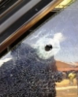 Imagem de Assassinato no Parque Bandeirantes