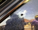 Imagem de Assassinato no Parque Bandeirantes