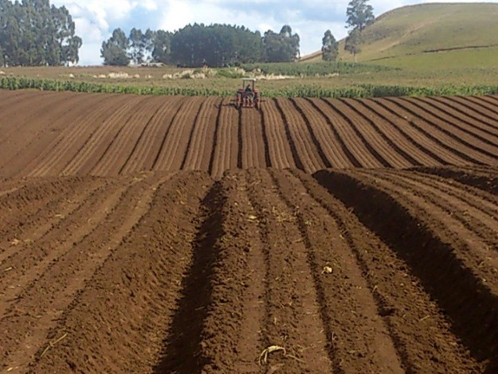 Imagem de Cerrado: preparação para plantio de soja iniciará em breve