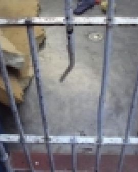 Imagem de Detentos fogem do presídio em Rio Verde