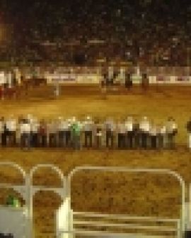 Imagem de Pecuária 2012: retorno às origens