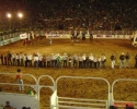 Imagem de Pecuária 2012: retorno às origens