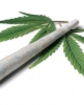 Imagem de Maconheiro queria matar avós