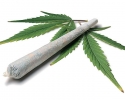 Imagem de Maconheiro queria matar avós