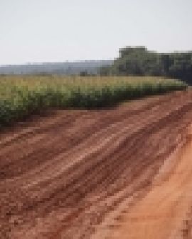 Imagem de Armazenagem da safrinha causa preocupação no Mato Grosso e Goiás