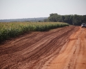 Imagem de Armazenagem da safrinha causa preocupação no Mato Grosso e Goiás