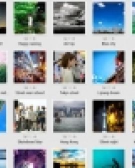 Imagem de Google anuncia fim do Picasa