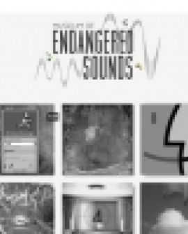 Imagem de Museu online disponibiliza 'sons em extinção'