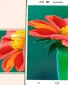 Imagem de Smartphone mais barato do mundo é lançado na Índia