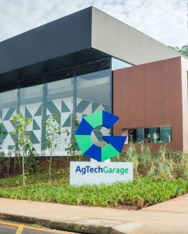 Imagem de Sicredi seleciona duas startups com foco em agronegócio para programa de aceleração