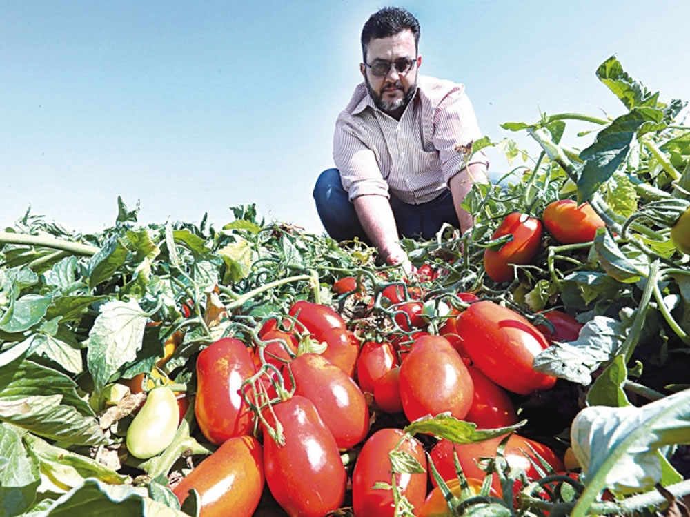 Imagem de Goiás é protagonista no agro