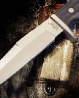 Imagem de Mulher assassinada na Promissão