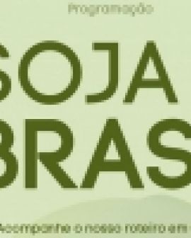 Imagem de Fórum Soja Brasil debate os desafios da próxima safra
