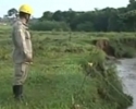 Imagem de Continuam buscas por menino desaparecido durante temporal
