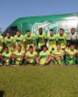 Imagem de Verdão apresenta elenco