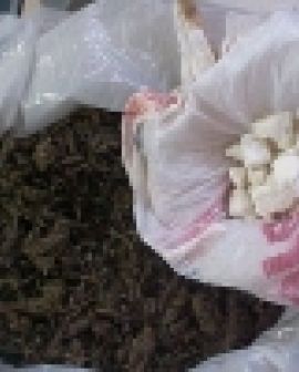 Imagem de Presos com maconha e cocaína