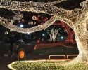 Imagem de Natal de luz