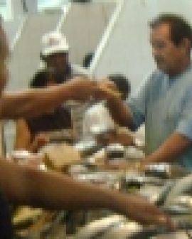 Imagem de Preço de peixes varia até 140%