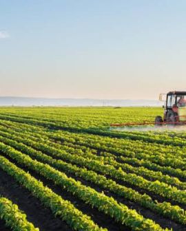 Imagem de Governo de Goiás investe R$ 15 milhões em centro de excelência de agricultura exponencial