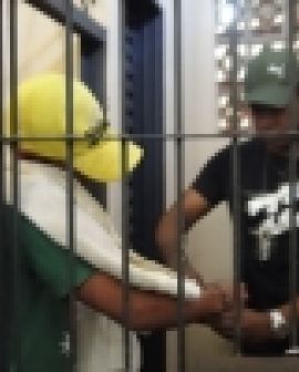 Imagem de Dupla presa por homicídio