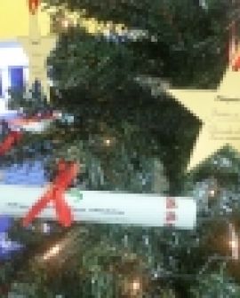Imagem de HURSO lança ‘Árvore de Natal Fraterna’