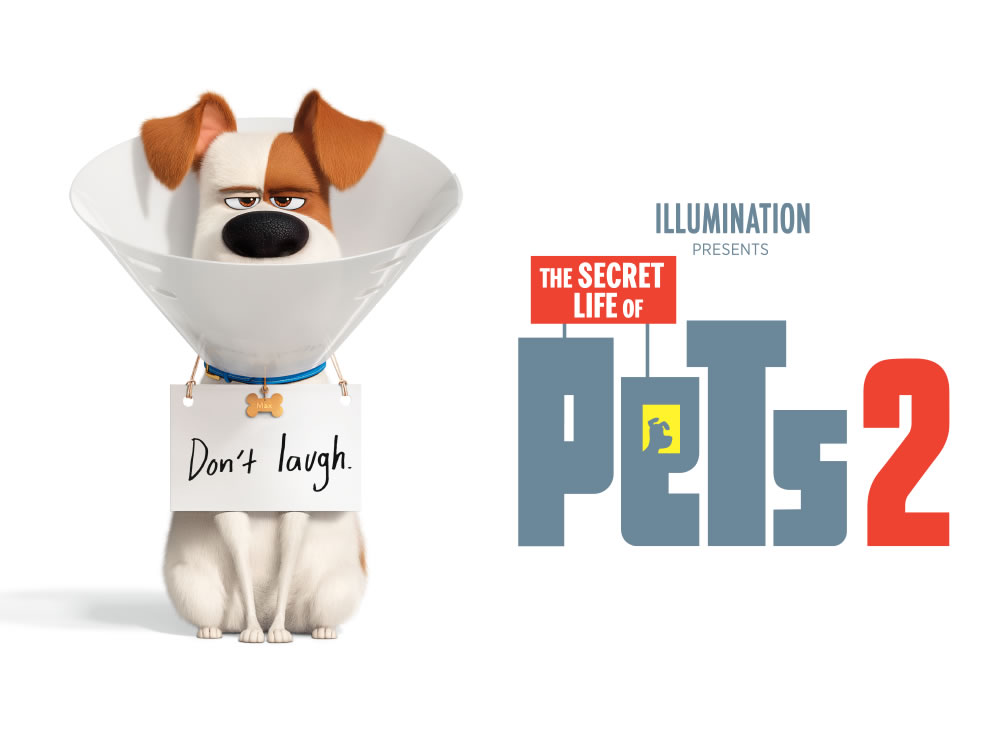 Imagem de Em cartaz: Pets – A vida secreta dos bichos 2