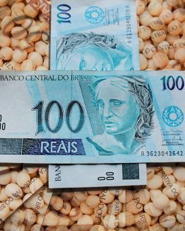 Imagem de Saca de soja sobe até R$ 3 em algumas praças do Brasil