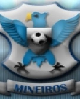 Imagem de Segundona 2012: Mineiros vence amistoso