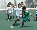 Imagem de Bom de bola, bom de escola