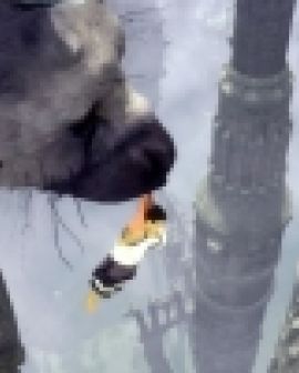 Imagem de The Last Guardian é lançado após 9 anos
